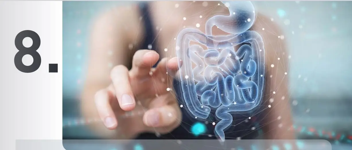 https://astroserwis.com/wp-content/uploads/2021/12/8-JELITA-DRUGI-MOZG.webp